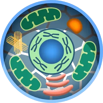 Cell World